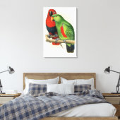 Neuguinea-Eclectus, Papageien, Leinwanddruck (Insitu (Schlafzimmer))