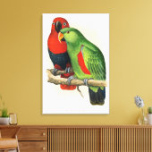 Neuguinea-Eclectus, Papageien, Leinwanddruck (Insitu (Wohnzimmer))