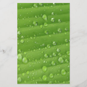 Neuigkeiten Briefpapier