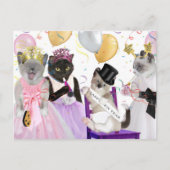 Neujahr: Kitten Postkarte (Vorderseite)