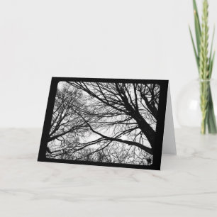 Neujahr & Sonnenwende: Schneefall auf Ahorn Feiertagskarte