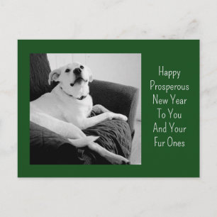 Neujahrs-Schwarz-Weiß-Foto von süßem Hund Grün Feiertagspostkarte