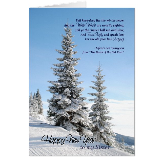 Neujahrsschnee auf Koniferen für Sister Tennyson G (Vorne)