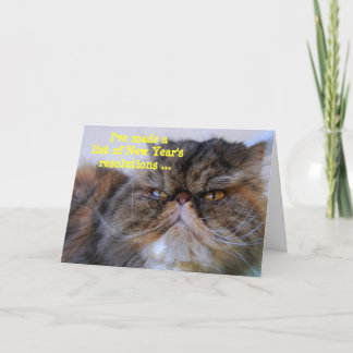 Neujahrsvorsätze Calico Persian Kitty Card Feiertagskarte