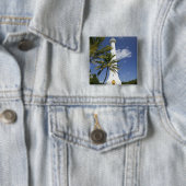 Neukaledonien, Amedee-Insel. Amedee-Insel Button (Beispiel)