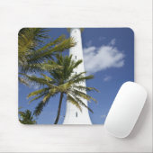 Neukaledonien, Amedee Islet. Amedee Mousepad (Mit Mouse)