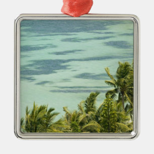 Neukaledonien, Grande Terre Island, Noumea. Anse Silbernes Ornament