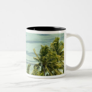 Neukaledonien, Grande Terre Island, Noumea. Anse Zweifarbige Tasse