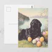 Neulandhund Vintag Ostern Postkarte (Vorne/Hinten)