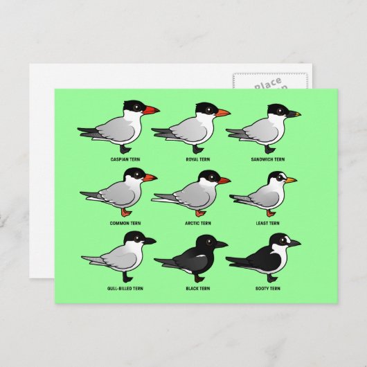 Neun Birdorable Terns (gekennzeichnet) Postkarte (Vorne/Hinten)