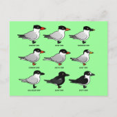 Neun Birdorable Terns (gekennzeichnet) Postkarte (Vorderseite)