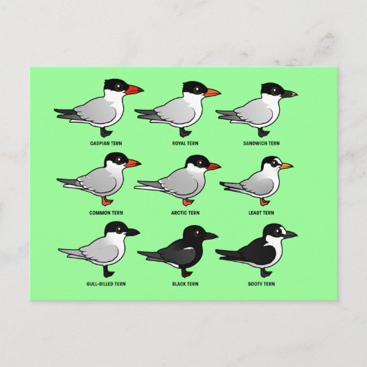 Neun Birdorable Terns (gekennzeichnet) Postkarte (Vorderseite)