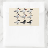 Neun Birdorable Terns (gekennzeichnet) Rechteckiger Aufkleber (Tasche)