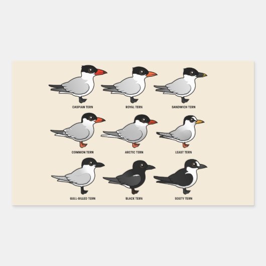 Neun Birdorable Terns (gekennzeichnet) Rechteckiger Aufkleber (Vorderseite)