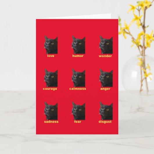 Neun Emotionen meines Cat Vector Karte (Gelbe Blume)