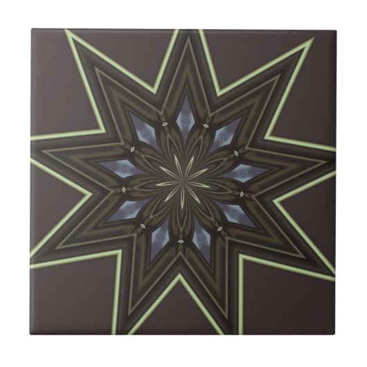 Neun gezeigter Stern Fliese (Vorderseite)