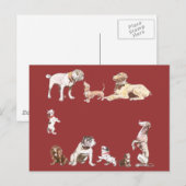 Neun Hunde Postkarte (Vorne/Hinten)