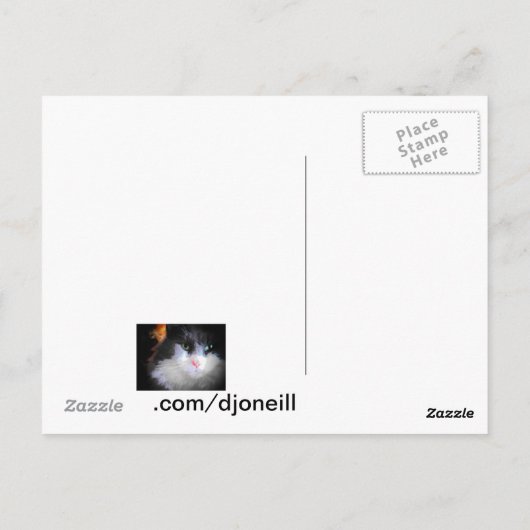 Neun leben Kätzchen mit Fallblatt-Grenze Postkarte (Rückseite)