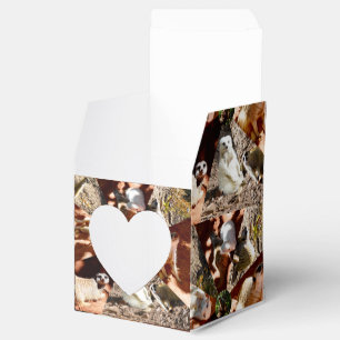 neun Meerkat-Dreiecke, Gastgeschenk Box Geschenkschachtel