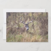 Neun Point Buck, die unbedruckte Notecard ablegen Dankeskarte (Vorderseite)