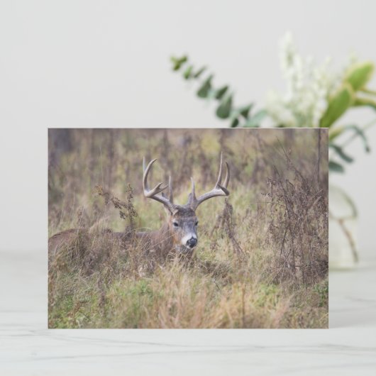 Neun Point Buck, die unbedruckte Notecard ablegen Dankeskarte (Stehend Vorderseite)