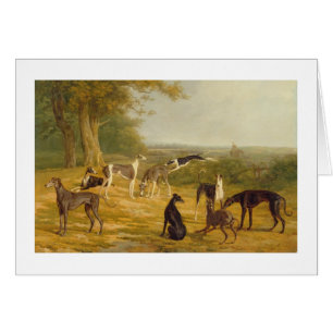 Neun Windhunde in einer Landschaft (Öl auf