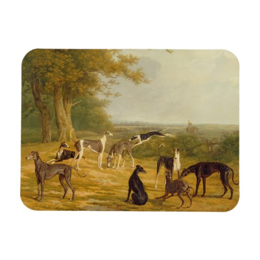 Neun Windhunde in einer Landschaft (Öl auf Leinwan Magnet (Horizontal)