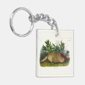 Neunbanded, Armadillo mit langer Nase von Audubon Schlüsselanhänger (Vorderseite links)