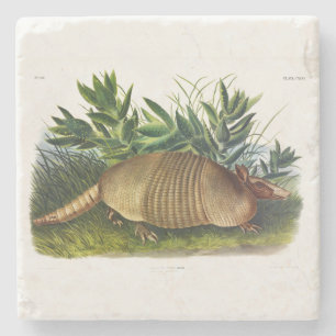 Neunbanded, Armadillo mit langer Nase von Audubon Steinuntersetzer