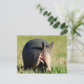 Neunbanded Armadillo Postkarte (Stehend Vorderseite)