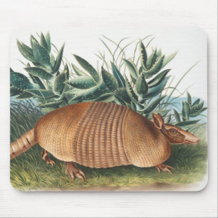 Neunbinden-Gürteltier (Dasypus Peba) Illustration Mousepad