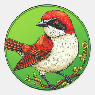 Neuntöter 🦜 Lebendige Vogel Wildlife-Kunst 🌿 Runder Aufkleber