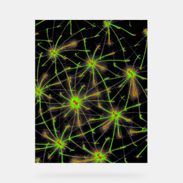 Neural Network Burst – Premium Acrylic Sign Acrylschild