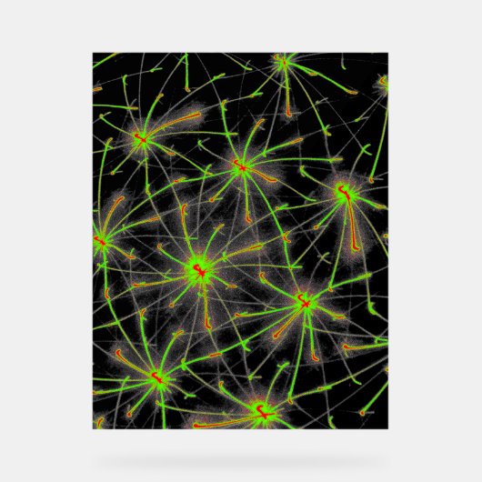 Neural Network Burst – Premium Acrylic Sign Acrylschild (Vorderseite)