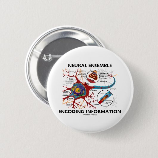 Neurale Ensemble-kodierungs-Informationen (Neuron) Button (Vorne & Hinten)