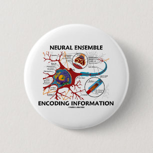 Neurale Ensemble-kodierungs-Informationen (Neuron) Button
