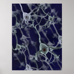 Neurales Netz Poster