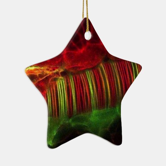 Neuralrohr Keramikornament (Rechts)