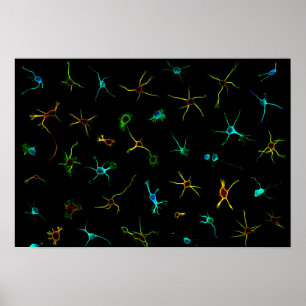 NeuroGalaxy Plakat