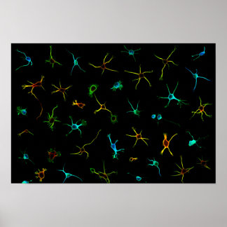 NeuroGalaxy Plakat