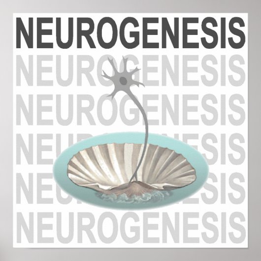 Neurogenese Poster (Vorne)