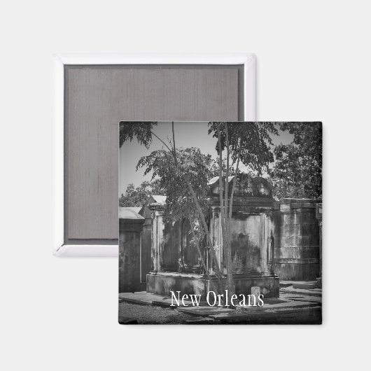 Neuromagnet Magnet (Vorderseite/Rückseite)