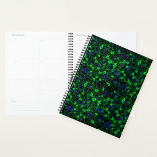 Neuron City Planner Planer