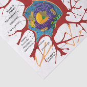 Neuron-Nerv gesund Seidenpapier (Ausschnitt)