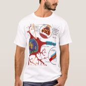 Neuron-Nerv gesund T-Shirt (Vorderseite)