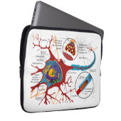 Neuron-Nerven-Art Laptopschutzhülle (Vorne Rechts)