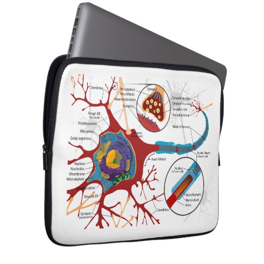 Neuron-Nerven-Art Laptopschutzhülle (Vorne Rechts)
