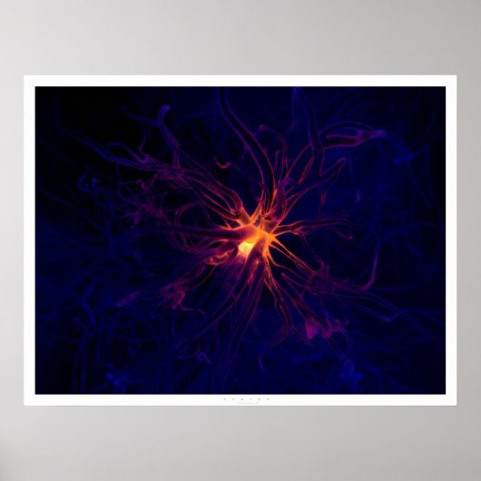 Neuron Poster (Vorne)