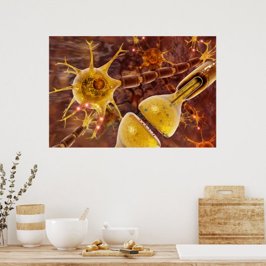 Neuron Poster (Küche)