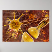 Neuron Poster (Vorne)